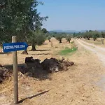 Quinta Da Mouracha