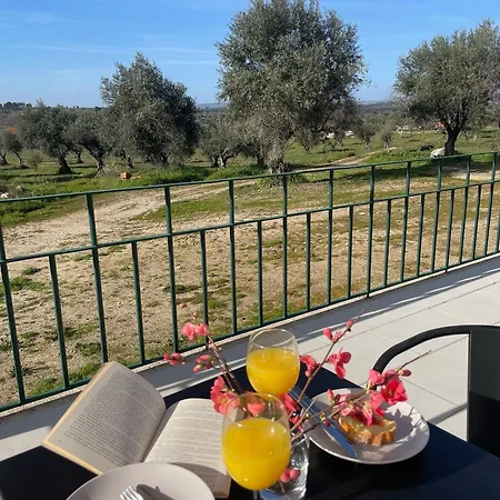 Quinta Da Mouracha Alojamento de Turismo Rural