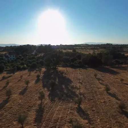 Quinta Da Mouracha * Aguas (Castelo Branco)