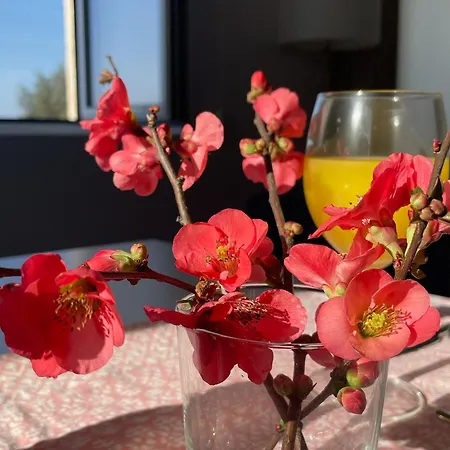 Quinta Da Mouracha 农家乐 Aguas (Castelo Branco)