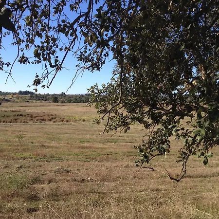 Quinta Da Mouracha *