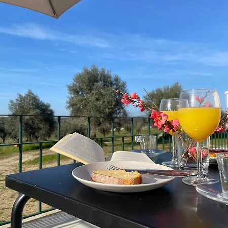Quinta Da Mouracha * Aguas (Castelo Branco)