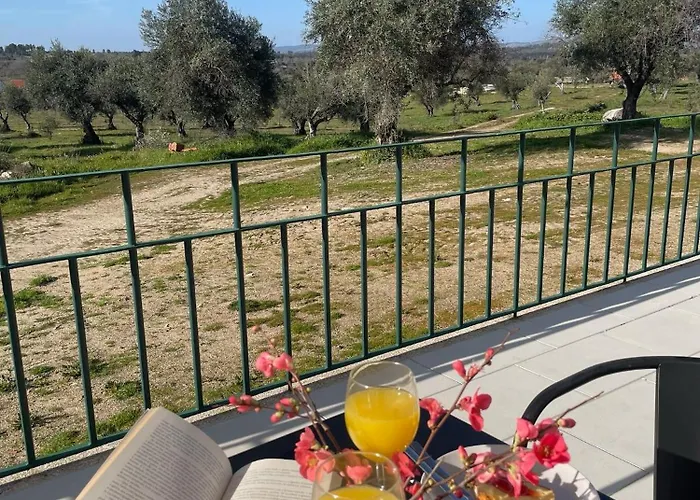 Quinta Da Mouracha Κατάλυμα σε φάρμα