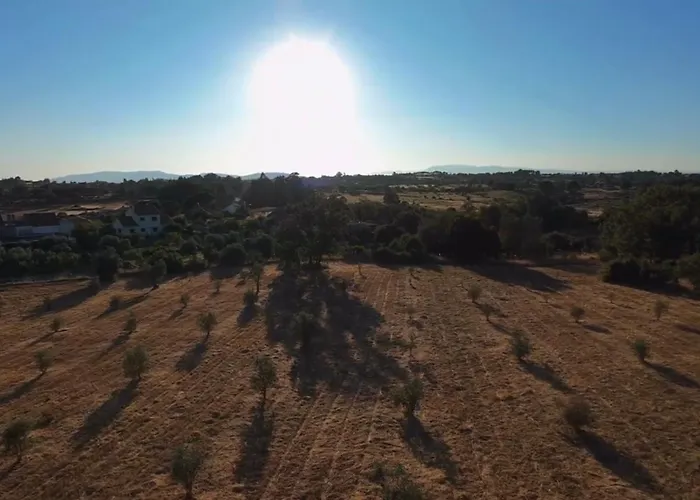 Quinta Da Mouracha * Aguas (Castelo Branco)