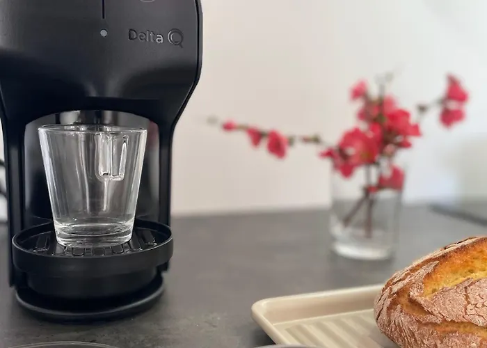 Κατάλυμα σε φάρμα Quinta Da Mouracha