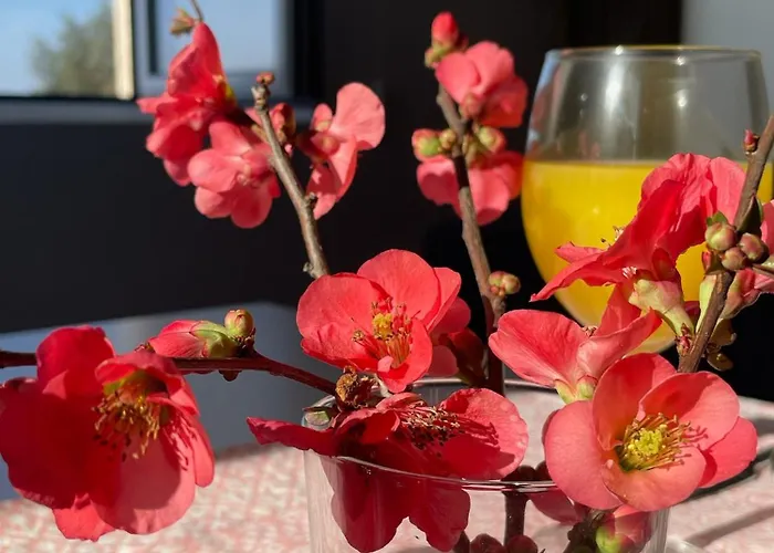 Quinta Da Mouracha Κατάλυμα σε φάρμα Aguas (Castelo Branco)