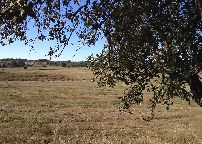 Quinta Da Mouracha *